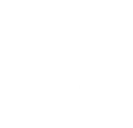 VETERAN OWNED BUSINESS